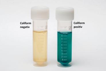1x Medasa Wassertest für Coliforme Bakterien E.coli Test im Trinkwasser und Brunnenwasser Check